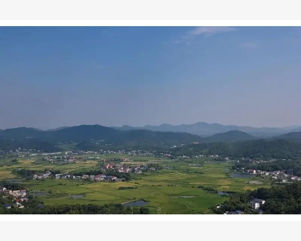天津中级会计工资水平与职业发展探析