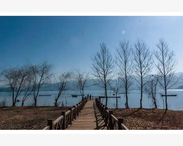 拔罐去湿气：传统中医疗法带来的健康好处
