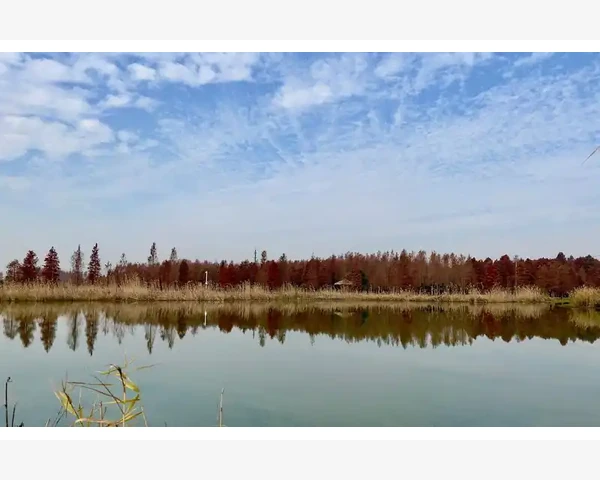 拔罐去湿气：中医神器保健护身